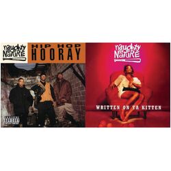 Naughty By Nature Hip Hop Hooray/Written on Ya Kitten VINYL 7"