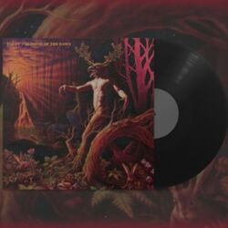 Tarot Glimpse Of The Dawn VINYL LP