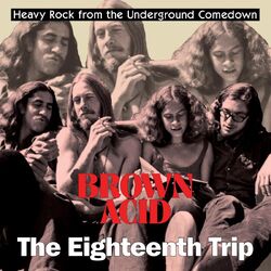 Various Artists Brown Acid: The Eighteenth Trip COLOURED VINYL LP