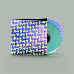 Animal Collective Merriweather Post Pavillion 15th anny COLOURED VINYL 2 LP