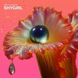 Various Artists feat. Shygirl fabric presents Shygirl VINYL 2 LP