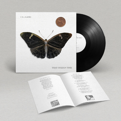 Villagers That Golden Time BLACK VINYL LP