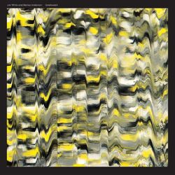 Jim White and Marisa Anderson Swallowtail VINYL LP