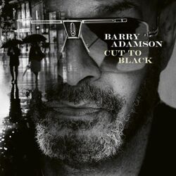 Barry Adamson Cut To Black VINYL LP
