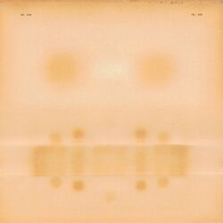Dr. Dog Dr. Dog VINYL LP