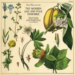 Sean Khan Presents The Modern Folk & Jazz Ensemble VINYL LP