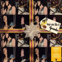 Geordie Hope You Like It 140GM BLACK VINYL LP