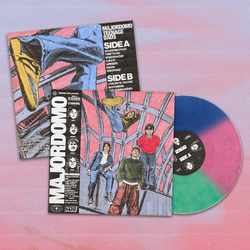 Teenage Dads Majordomo RANDOM COLOURED VINYL LP