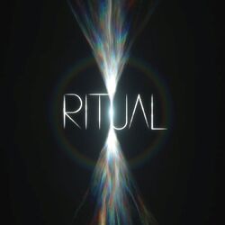 Jon Hopkins RITUAL BLACK VINYL 2 LP