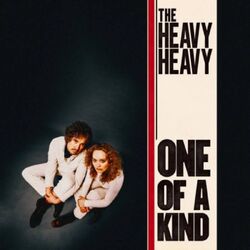 The Heavy Heavy One of a Kind SILVER VINYL LP