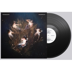 Floodlights Underneath BLACK VINYL LP