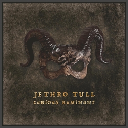 Jethro Tull Curious Ruminant BLACK VINYL LP