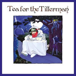 Yusuf/Cat Stevens Tea For The Tillerman 2 BLACK VINYL LP