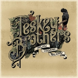 The Teskey Brothers Run Home Slow 2025 reissue BLACK VINYL LP