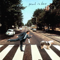 Paul McCartney Paul Is Live / Flaming Pie / Chaos & Creation In The Back Yard / NEW / Amoeba Gig BUNDLE 5 X SHM CDS