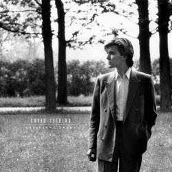 David Sylvian Brilliant Trees CORONA OLIVE OPAQUE BLACK VINYL LP