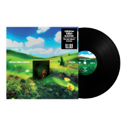 Rainbow Kitten Surprise bones BLACK VINYL LP