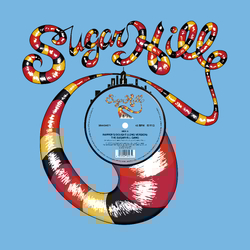 The Sugarhill Gang Rapper's Delight Greg Wilson & Ché Wilson Remix LIMITED ZOETROPE VINYL LP PICTURE DISC