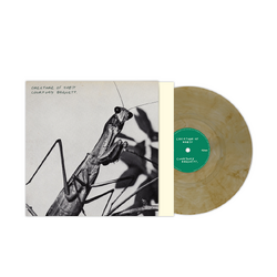 Courtney Barnett Creature Of Habit Indies ANOTHER BLUE DAY CARAMEL VINYL LP