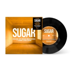 Sugar House of Dead Memories / Long Live Love BLACK VINYL 7INCH