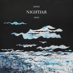 David Gray Nightjar BLACK VINYL 2 LP