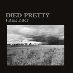 Died Pretty Free Dirt 2022 reissue VINYL LP