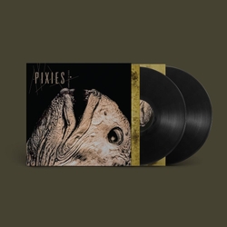 The Pixies The Complete B Sides 1988 - 1997 BLACK VINYL 2 LP