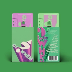 Panda Bear & Sonic Boom A of WHEN CASSETTE