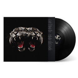Royal Blood DEAD COMPANY BLACK VINYL LP
