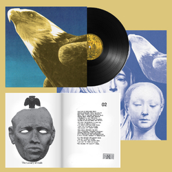 Protomartyr Hotel Usona BLACK VINYL LP