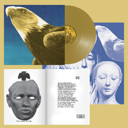 Protomartyr Hotel Usona indies EXCLUSIVE LIMITED GOLD VINYL LP