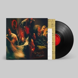 Queens Of The Stone Age Perfecth VINYL LP