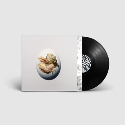 Shygirl SWALLOW BLACK VINYL LP