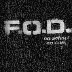 Flag Of Democracy (Fod) No School No Core ( LP) Vinyl LP