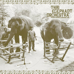 Thai Elephant Orchestra Thai Elephant Orchestra ( LP\+7") Vinyl LP