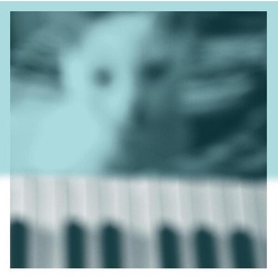 Peter Broderick Piano Works Vol. 1 FLOATING IN TUCKERÆS BASEMENT CLEAR VINYL 2LP
