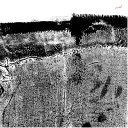 Sheherazaad Qasr VINYL LP