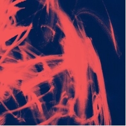 Rival Consoles Landscape From Memory VINYL 2LP