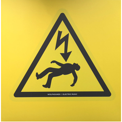 Wolfhounds Electric Music ( LP) Vinyl LP