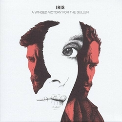 A Winged Victory For The Sullen Iris MUSIQUE ORIGINALE VINYL LP