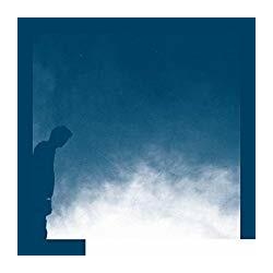 David Allred The Transition VINYL LP