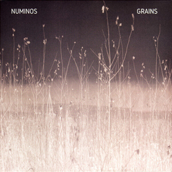 Numinos Grains ( LP) Vinyl LP