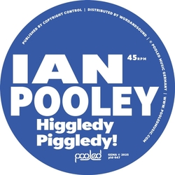 Ian Pooley Higgledy Piggledy! 12IN EP VINYL 12INCH EP