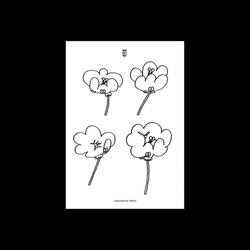 Lawrence Poppies 12IN VINYL 12INCH EP