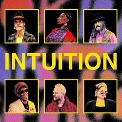 Brooklyn Funk Essentials Instuition VINYL LP