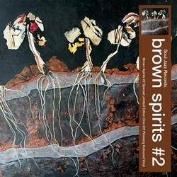 Brown Spirits Brown Spirits #2 VINYL LP