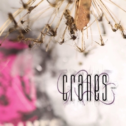 Cranes Fuse VINYL LP