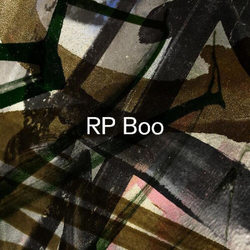 Rp Boo Established! Vinyl 12In X2