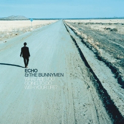 Echo & The Bunnymen What Are You Going To Do With Your Life ? 25TH ANNIVERSARY EDITION CRYSTAL CLEAR VINYL LP
