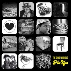 Dandy Warhols The Pin Ups VINYL 2LP